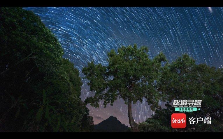 我的英雄学院